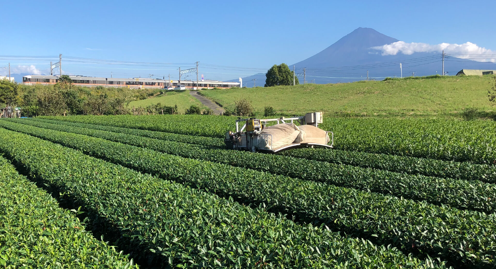 銘茶富士木村園